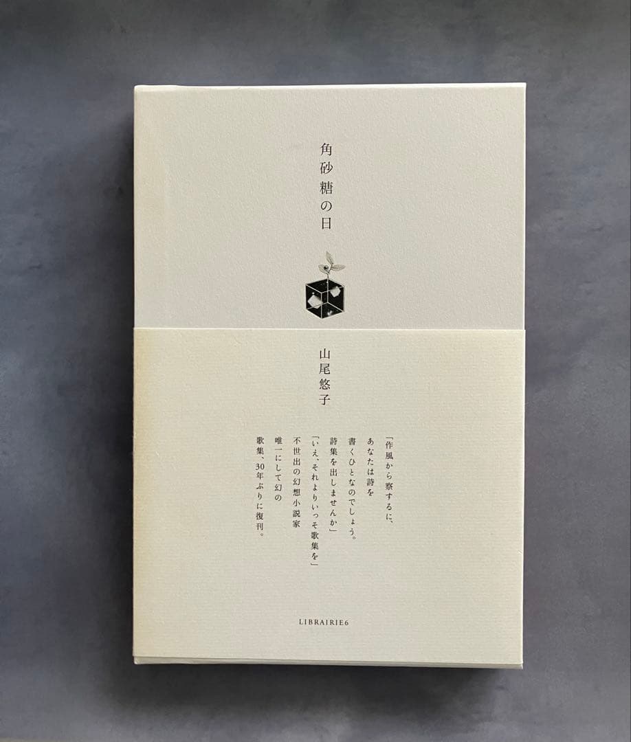 角砂糖の日 新装版 山尾悠子 初版第一刷発行