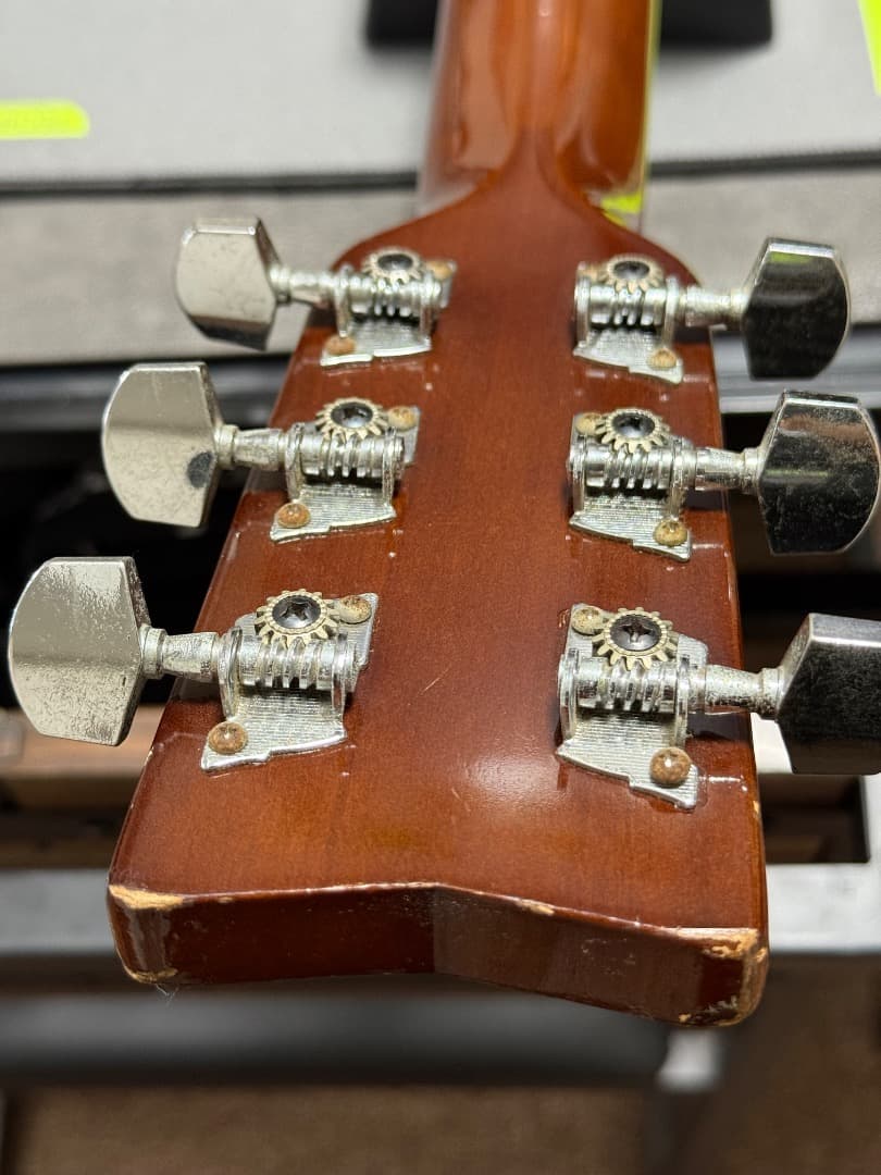 Yamaha F-310 ヤマハ＋ Gator製ギグケース