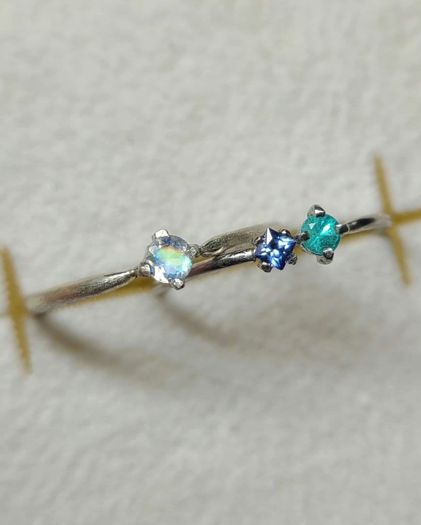 ぽぷオーダーページ