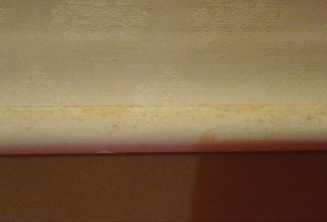 波と鳥の掛軸　太田龍一 作