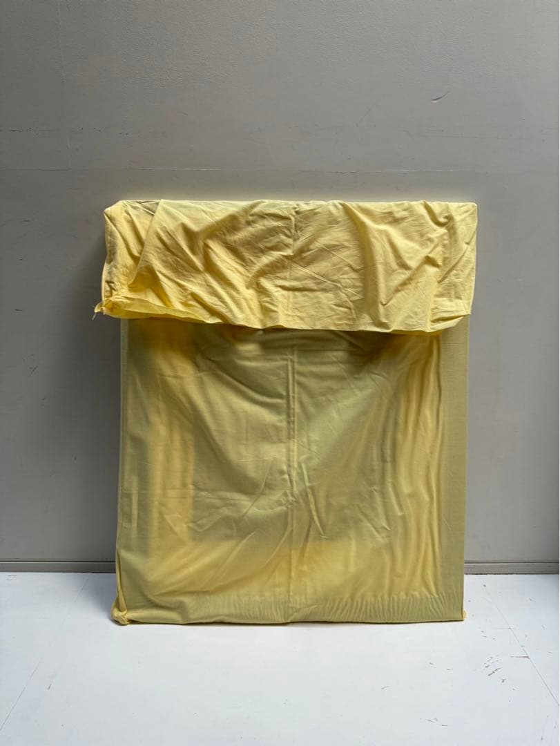 【在庫25】額 額縁 木製 焦茶 ダークブラウン 大きいサイズ アート 写真 a