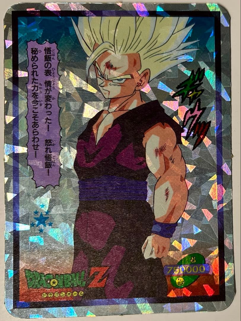 ドラゴンボールZ トレーディングカード　カードダス　山勝　レア　プリズム