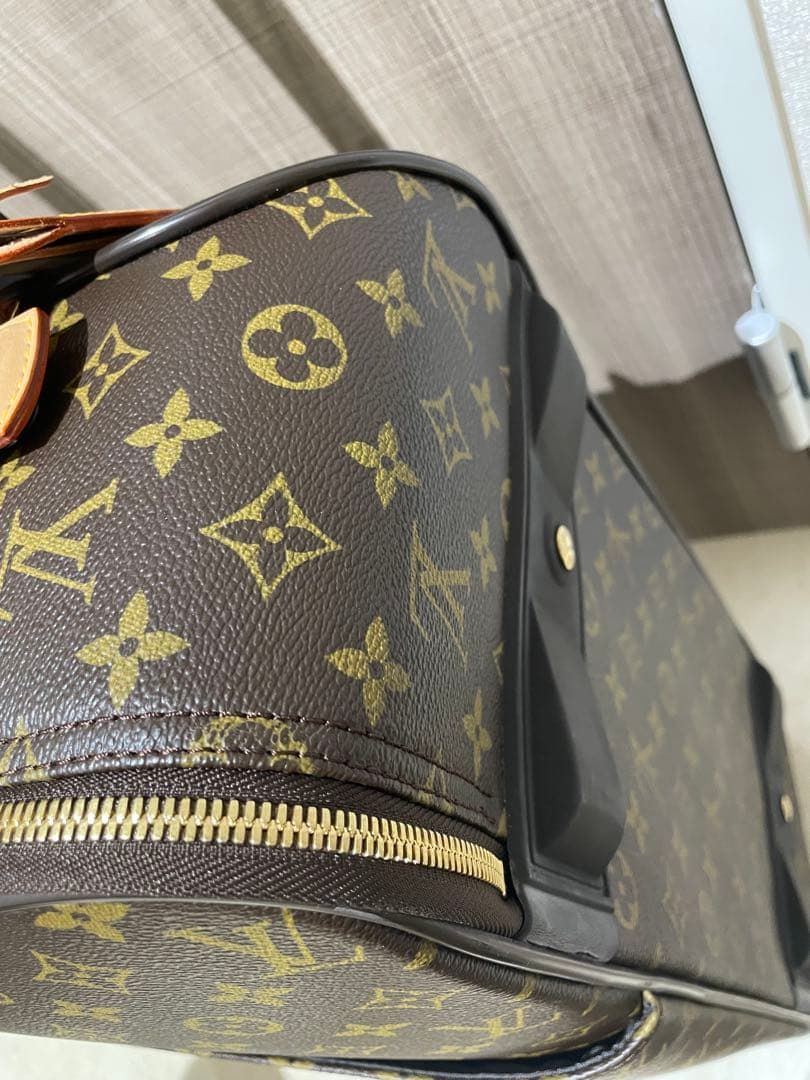 Louis Vuitton モノグラム ペガス55キャリーケース