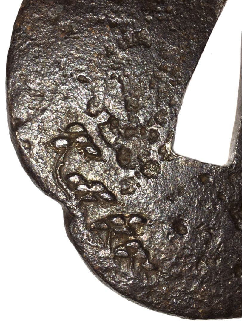 S6松紋木瓜形鉄鍔 木箱付 武具・刀装具