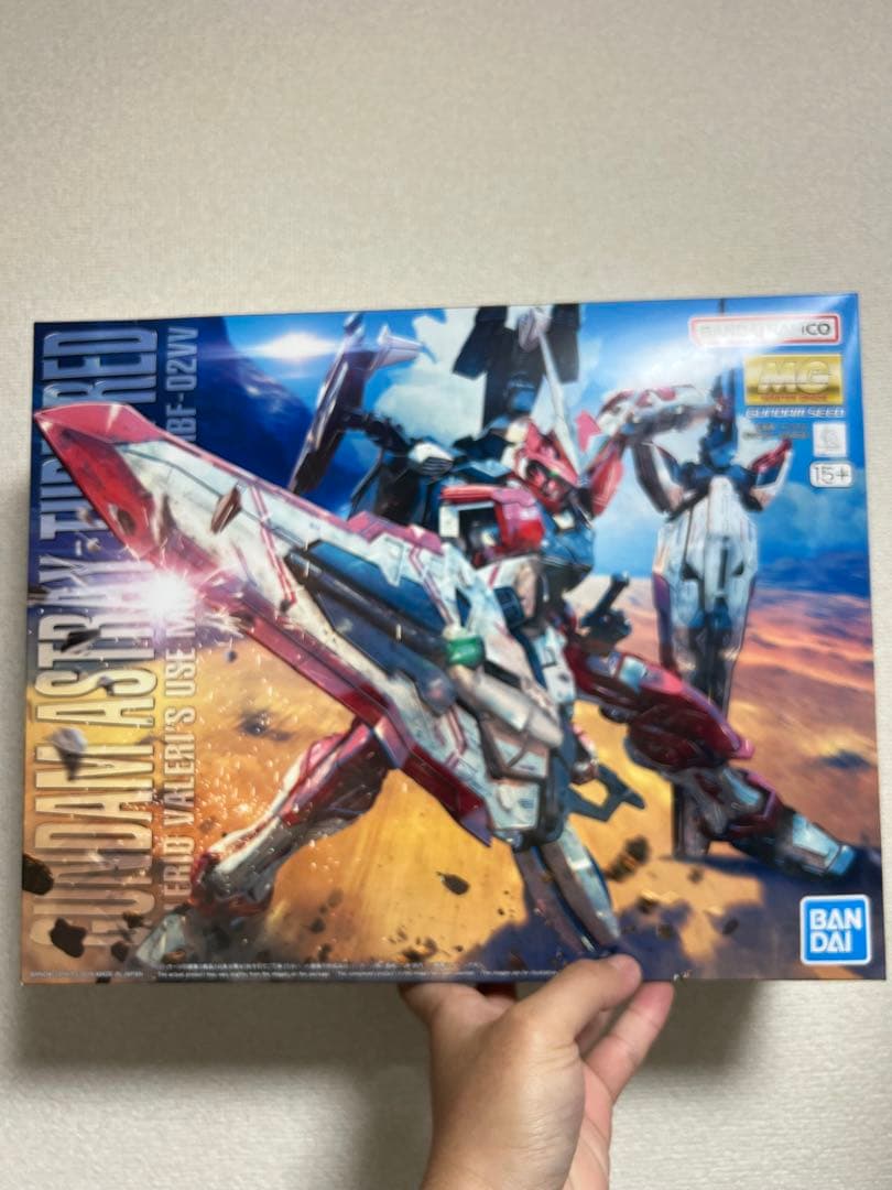 MG 1/100 ガンダムアストレイ ターンレッド
