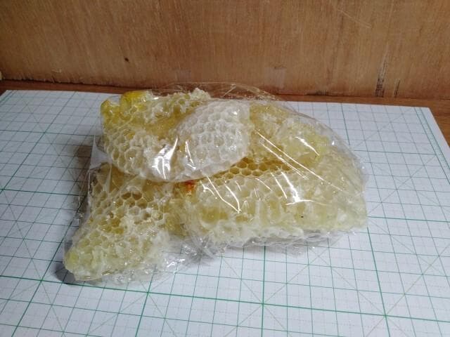 昆虫標本　ニホンミツバチ　巣盤　1番　2590g