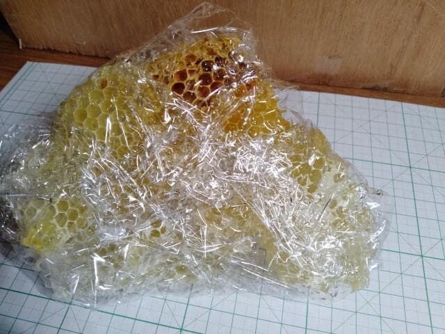 昆虫標本　ニホンミツバチ　巣盤　1番　2590g