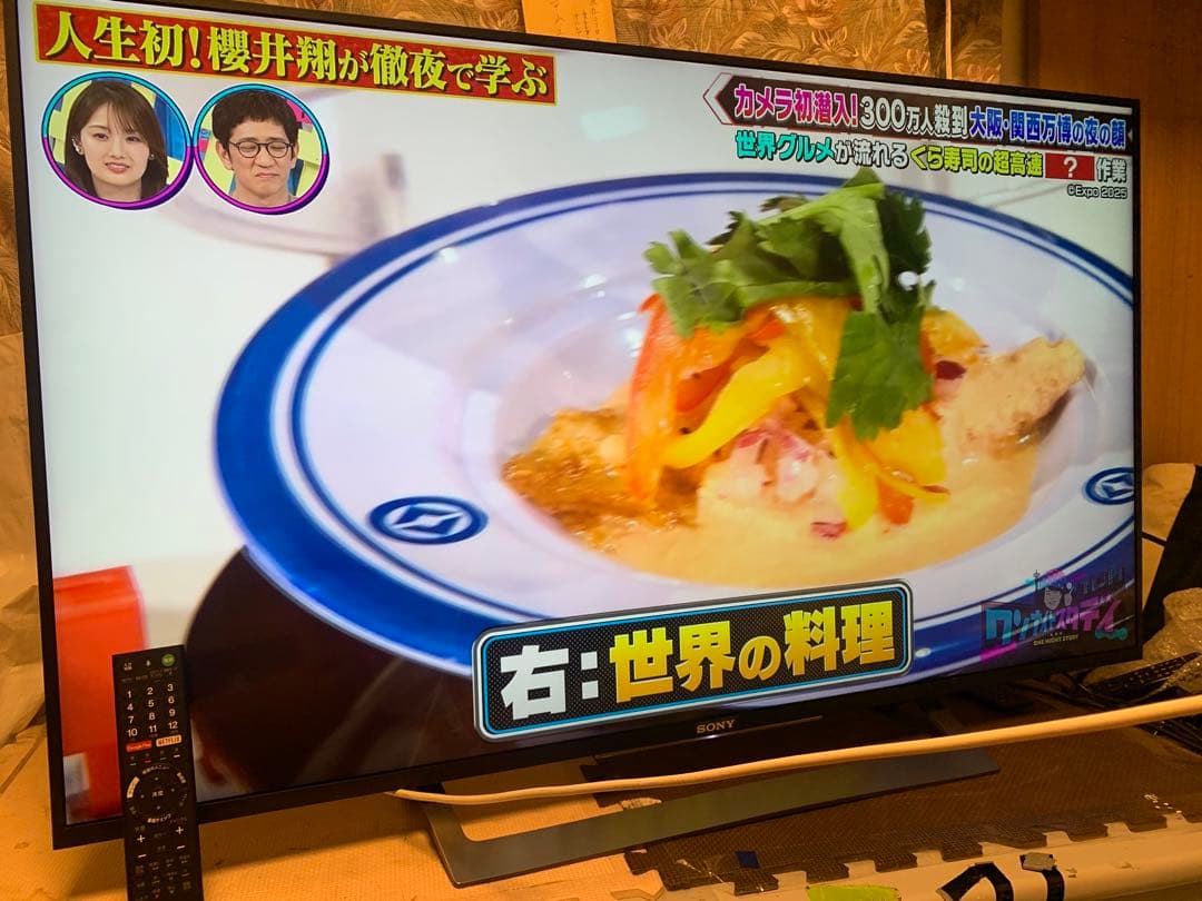 SONY 液晶テレビBRAVIA KJ-49X8300D (B)