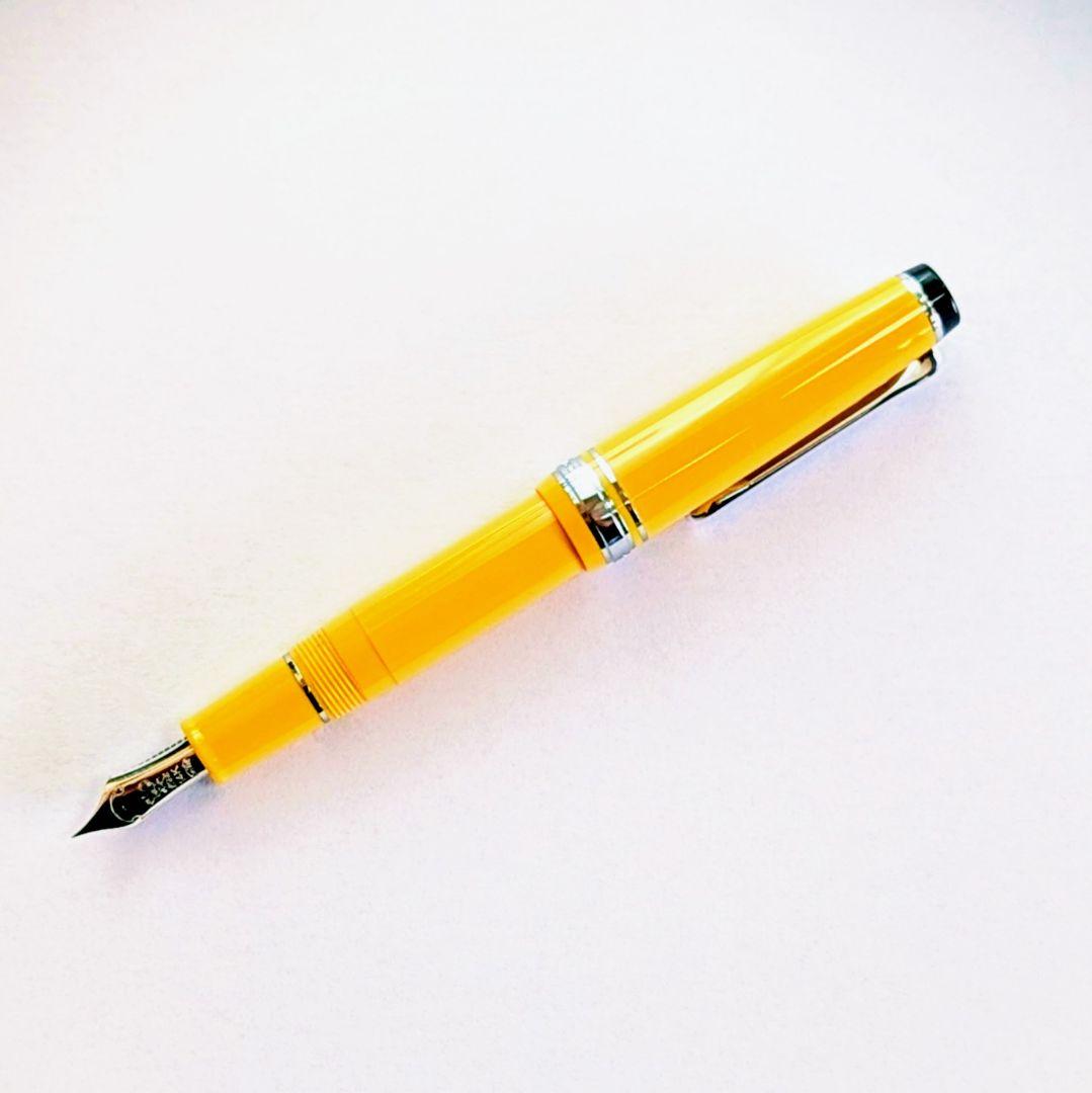 Y*o様 NAGASAWA オリジナル万年筆　ペンスタイルメモ プロギア スリム