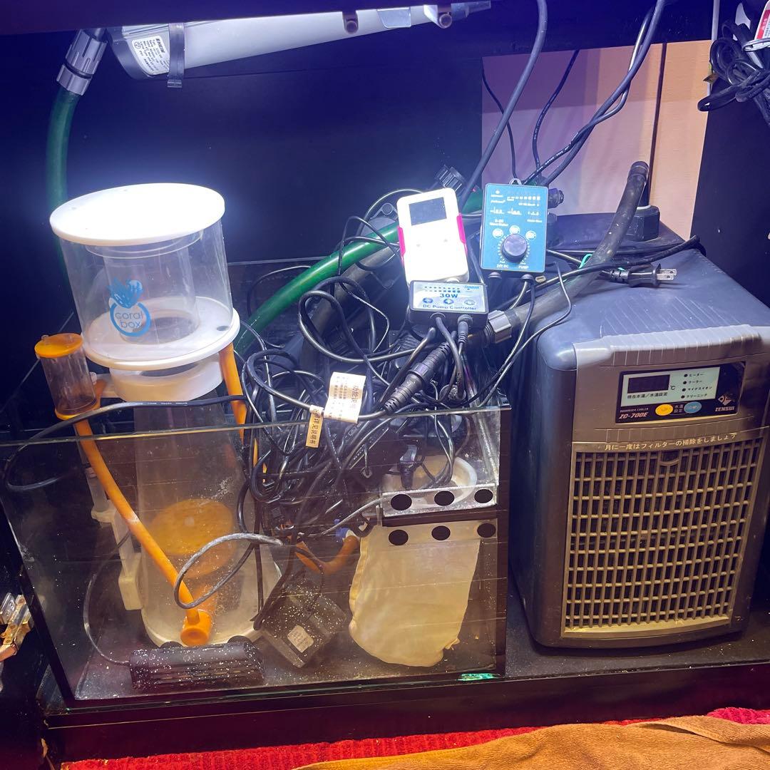 Red Sea REEFER 250 オーバーフロー水槽