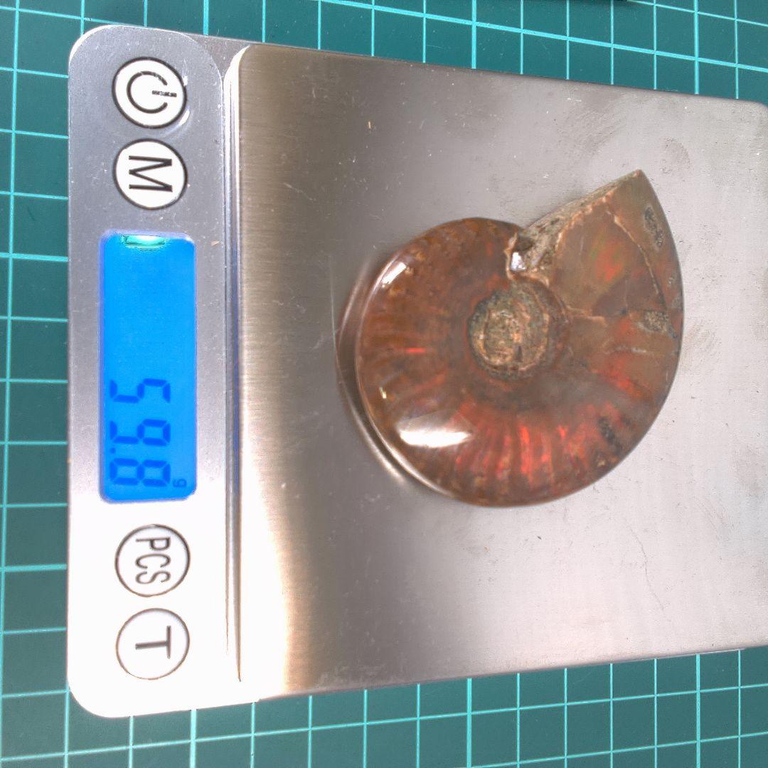 小物１ アンモナイト化石 赤褐色