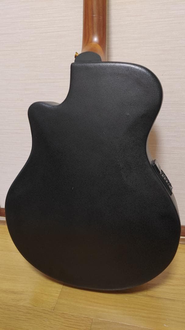 Epiphone El Rio (ケース付き)