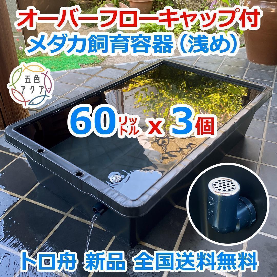メダカ飼育ケース 60㍑x3個 トロ舟 オーバーフロー加工済 金魚飼育容器 越冬