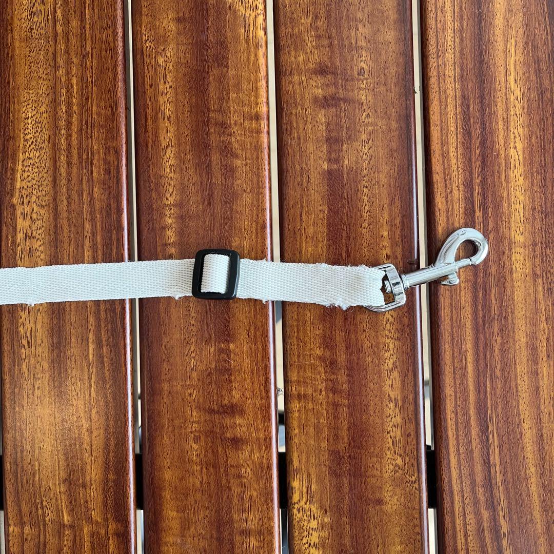 【SSOOOK】SLINGBAG(V.スマートバッグが左) [SO-CA104]