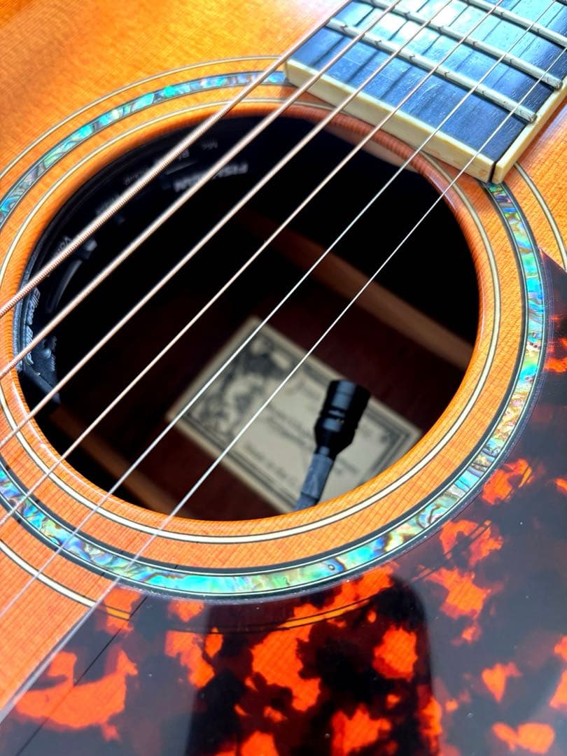 ギター Larrivee LV-10MR