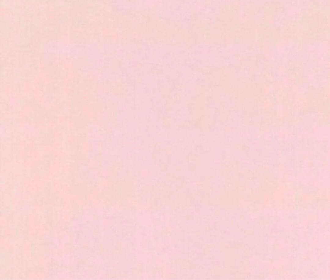 最終値下げ　NOMADIS ノマディス 別注BASQUE バッグM SLD-F