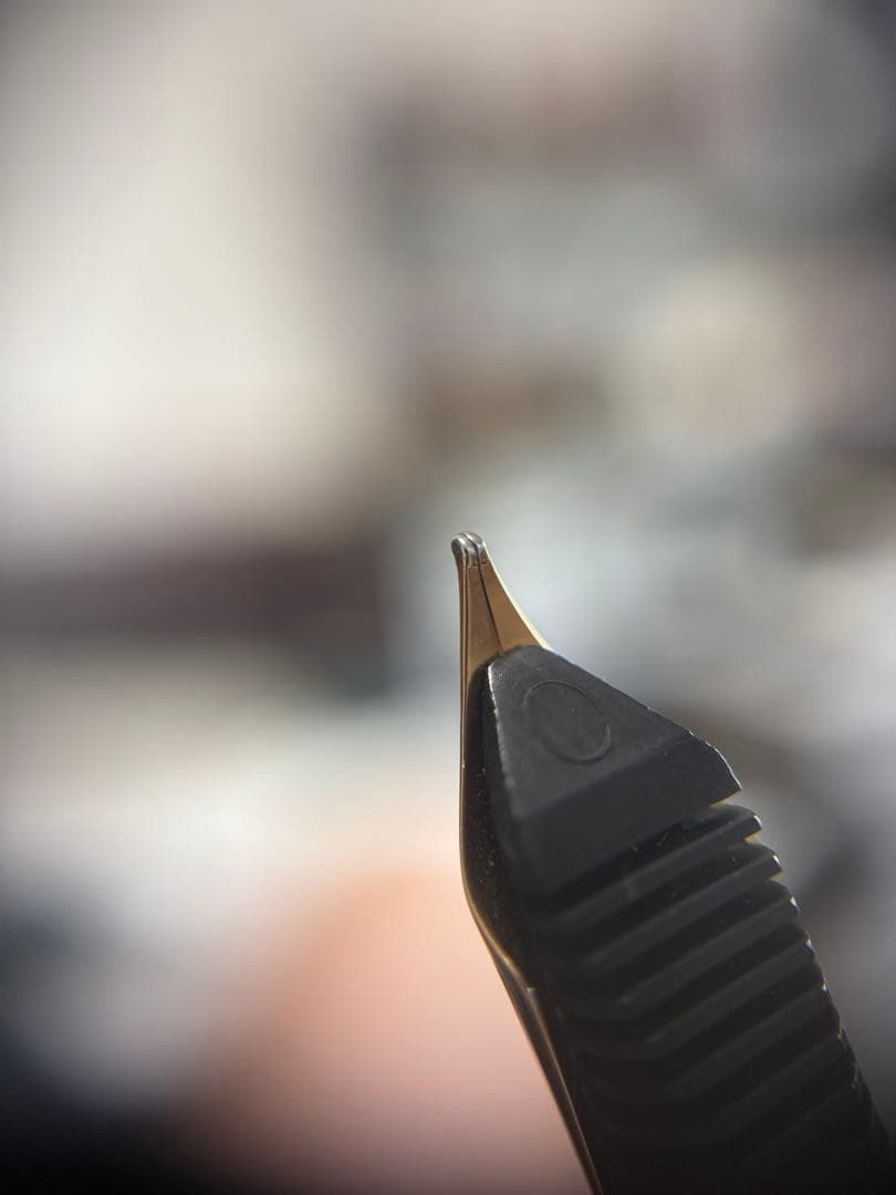 ペリカン万年筆限定品、ゴルフ