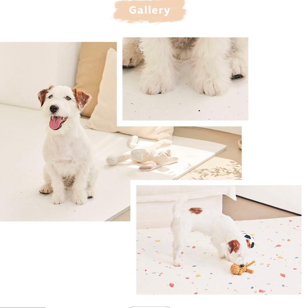 p!nkさま専用　ピュリナ付き