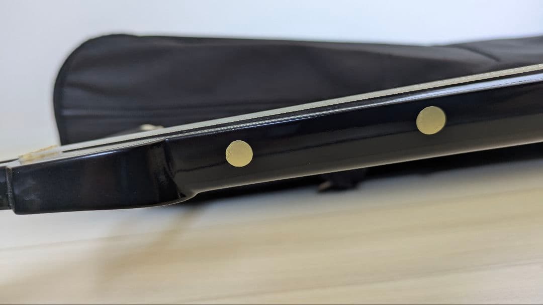 三線本体 ヘビ革模様 ケース付き