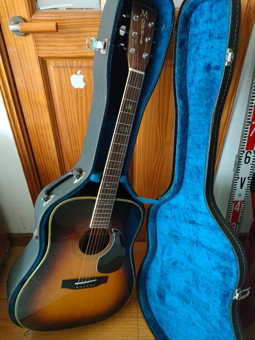 Morris アコースティックギター、レアカラー
