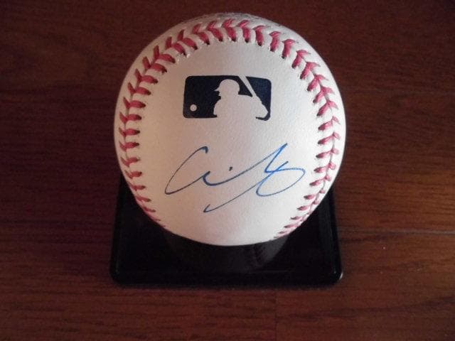 新品ケース付　MLB公式球　大谷翔平 山本由伸 佐々木朗希 直筆サインボール