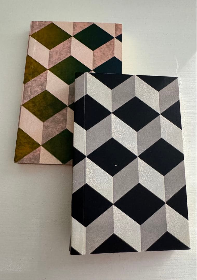 アスティエノート2冊アッシュぺーフランス購入