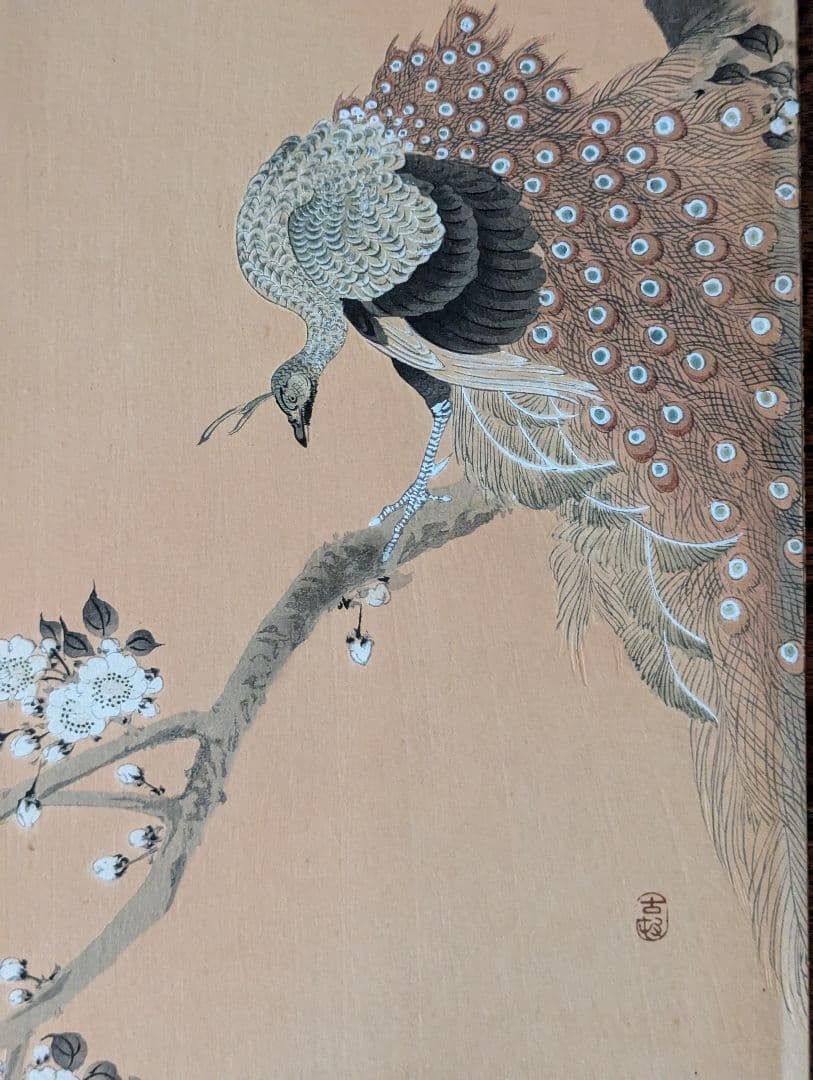 小原古邨「桜に孔雀」本物木版画