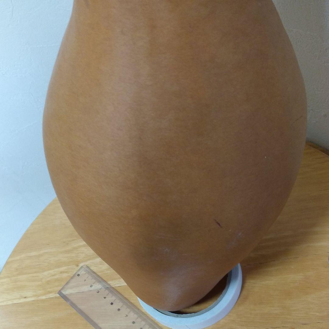 ひょうたん　46　乾燥済み　変わり　首長　超特大サイズ　無病息災　縁起物