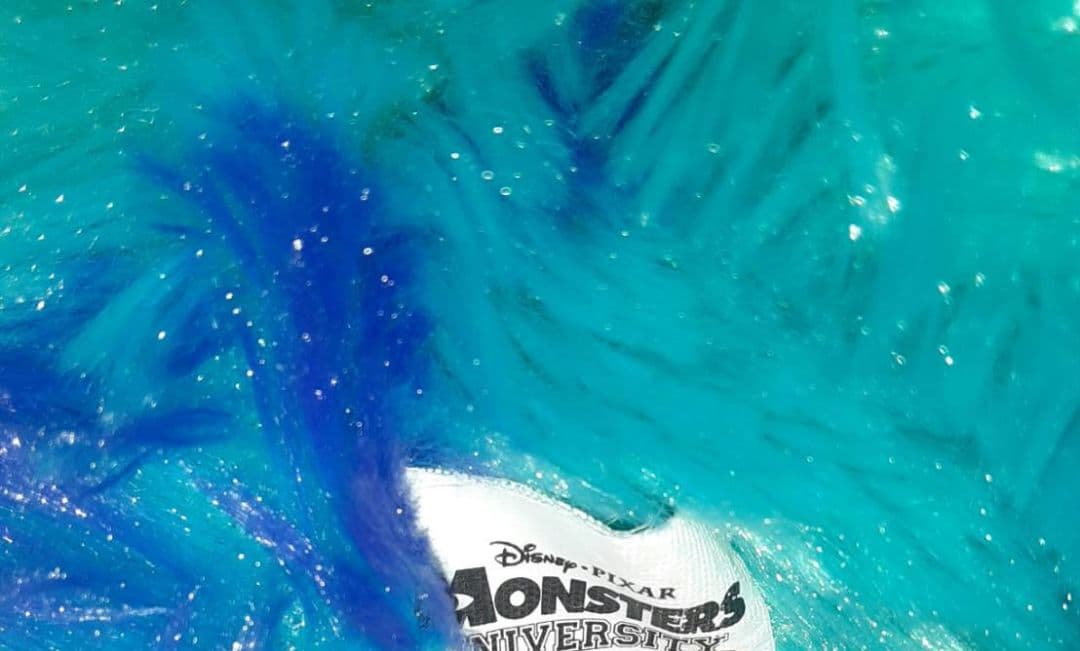 サリー 単独 大きいサイズ