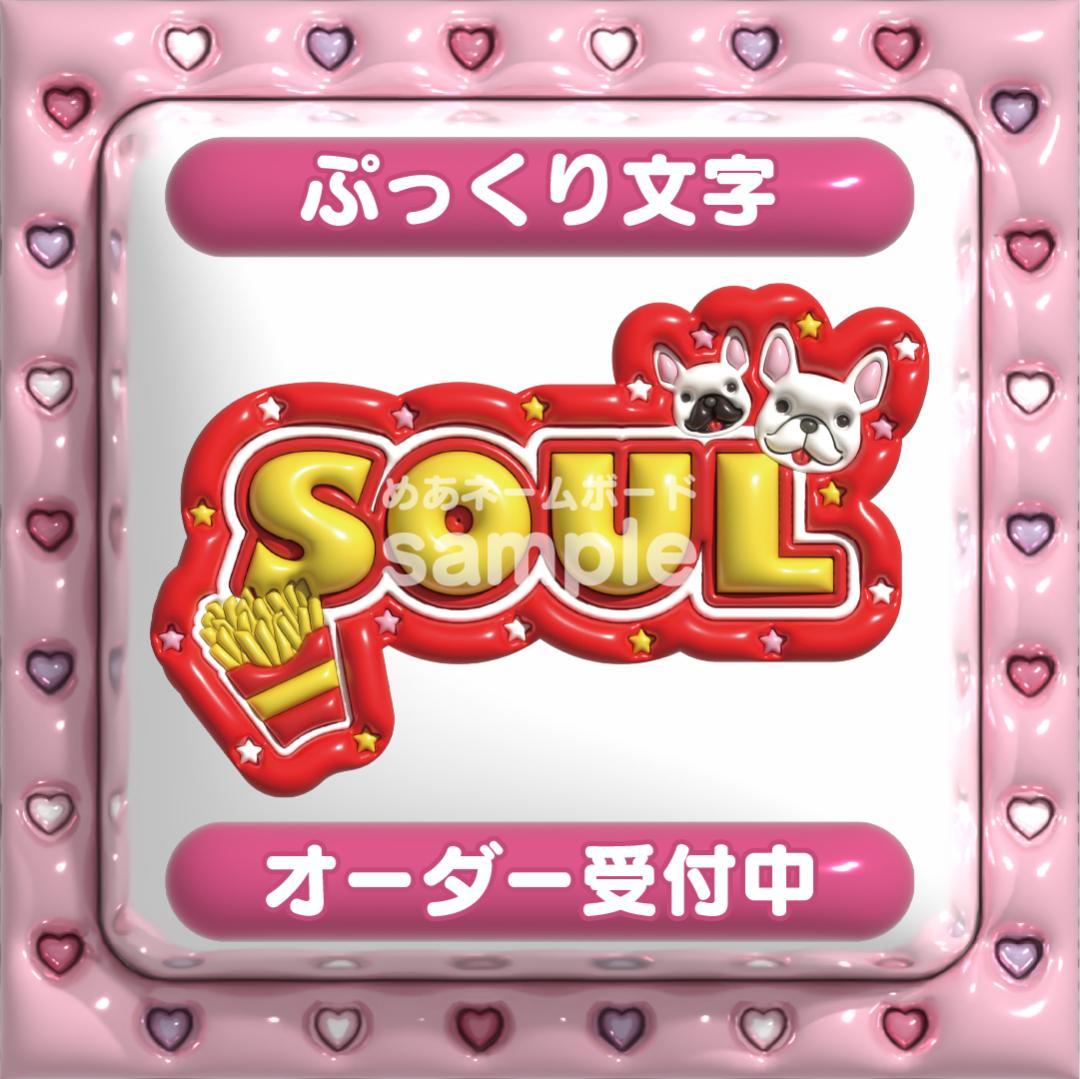 【SOUL ソウル ASTRO】ネームボード オーダー ぷっくり 文字
