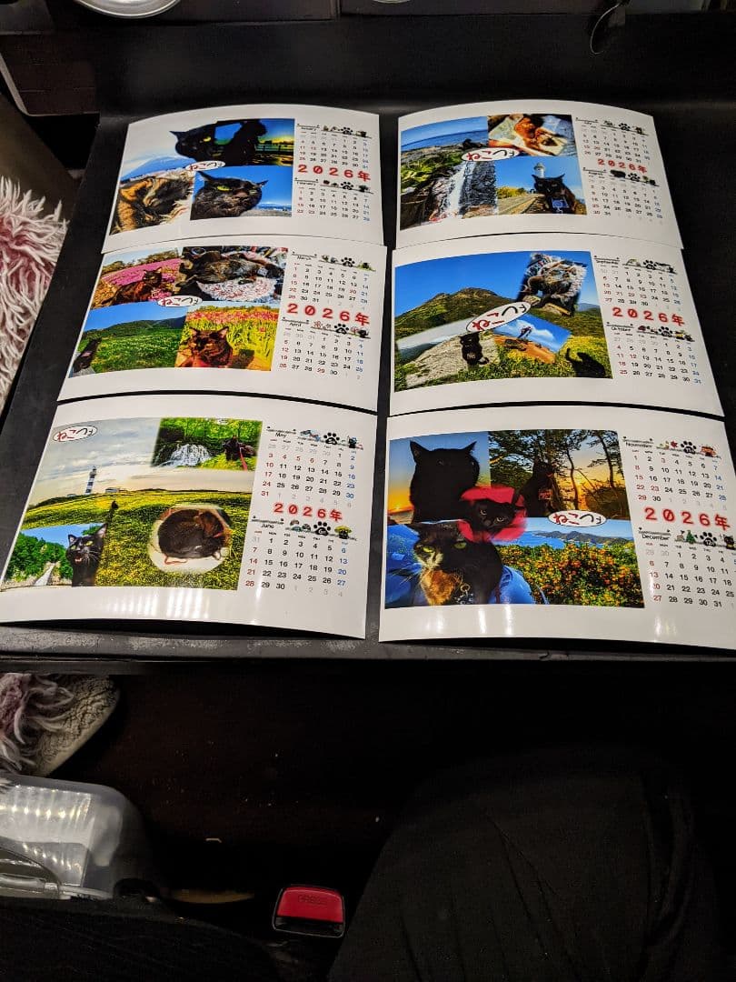 あ*み様 【ねこツーカレンダー】2026年度