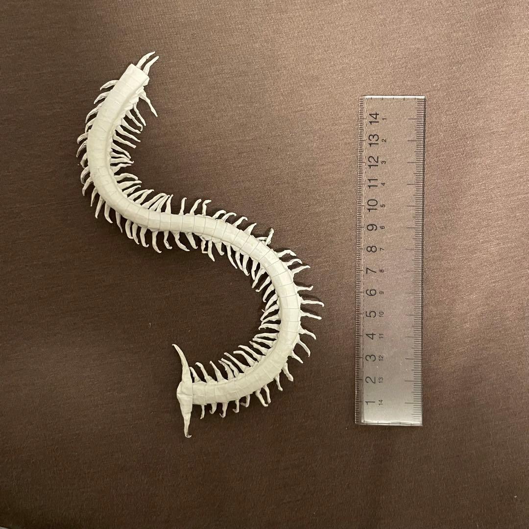 折り紙　ムカデ