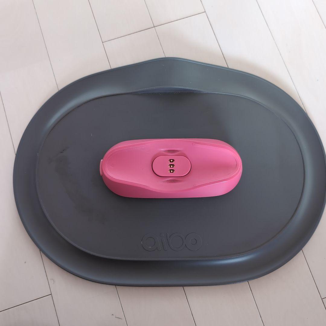 その他 SONY AIBO ERS-1000