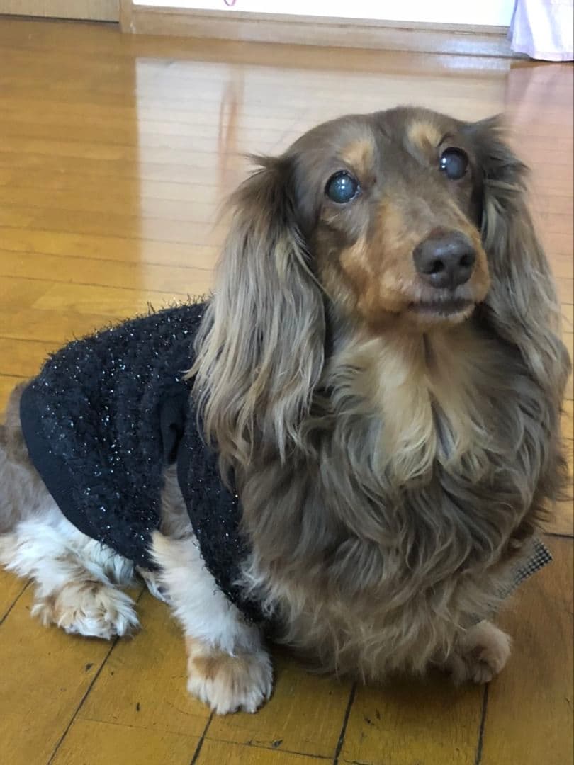 sayoponpon専用ページ