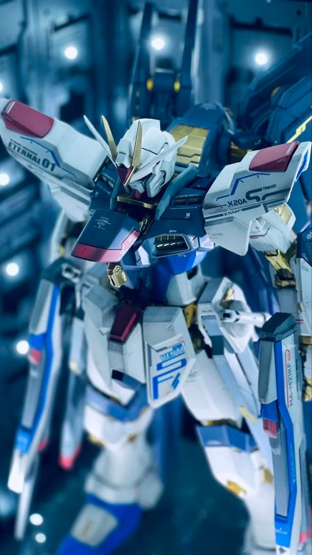 PG ストライクフリーダム　全塗装、完成品