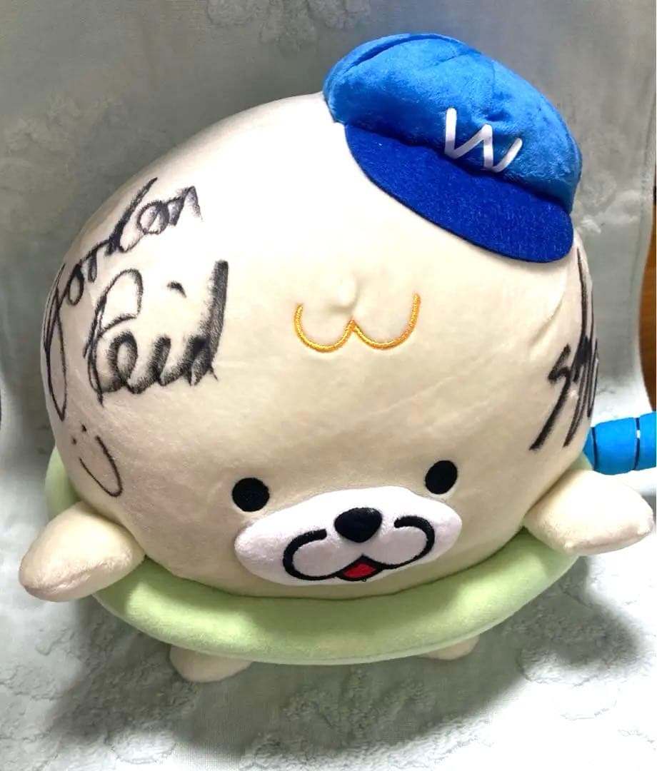 全米オープンテニス ゴードンリード 国枝慎吾 直筆サイン入り テニス太郎