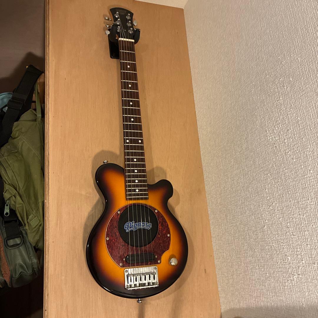 ピグノーズPGG200 サンバースト