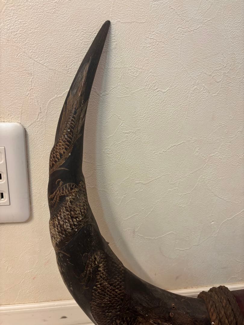 牛の角　約90センチ　龍　オブジェ　飾り　インテリア　水牛