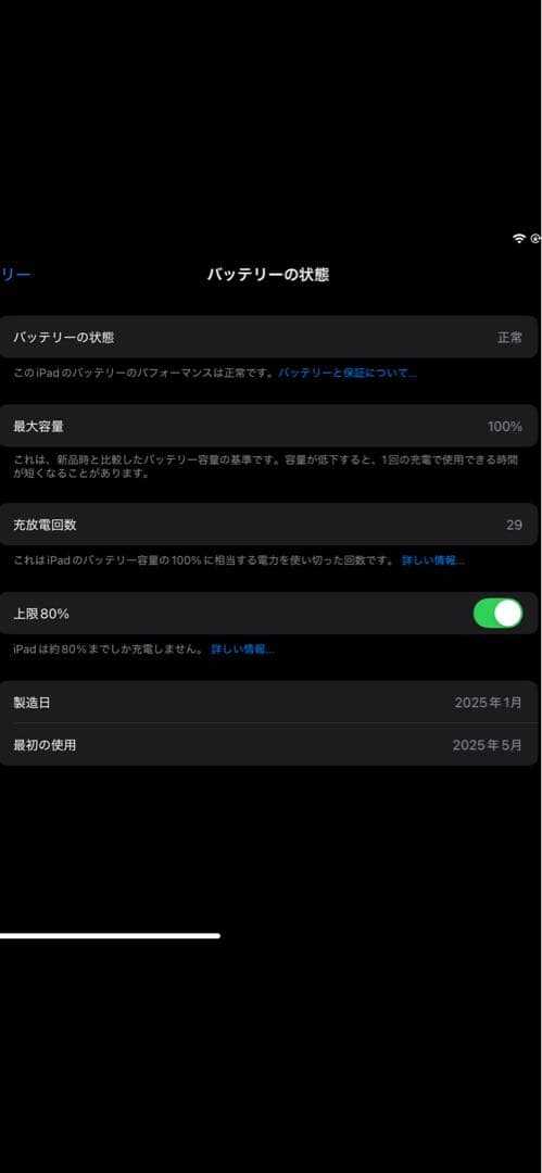 [NT]　　　Apple iPad mini シルバー
