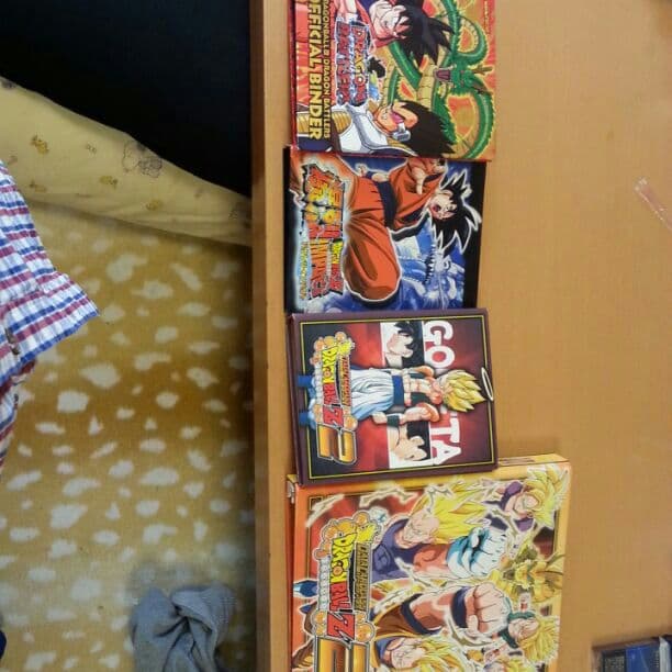 ドラゴンボールのバインダーと中にカードです