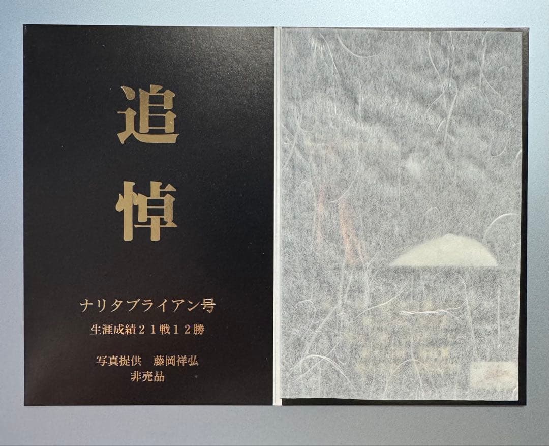 【激レア】関係者のみ配布ナリタブライアン 追悼記念Tカード