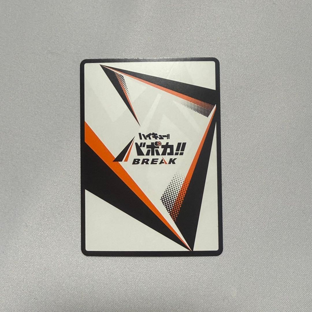 ハイキュー　日向翔陽　極P バボカ 古舘春一サイン