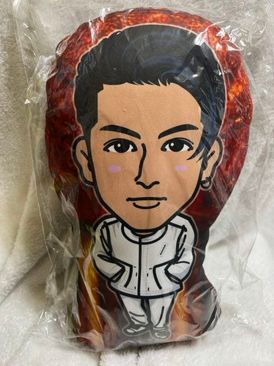 長谷川慎 クッション