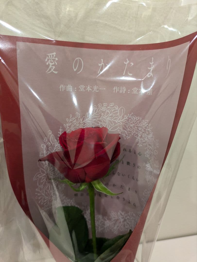 DOMOTO POP-UPイベント配布品