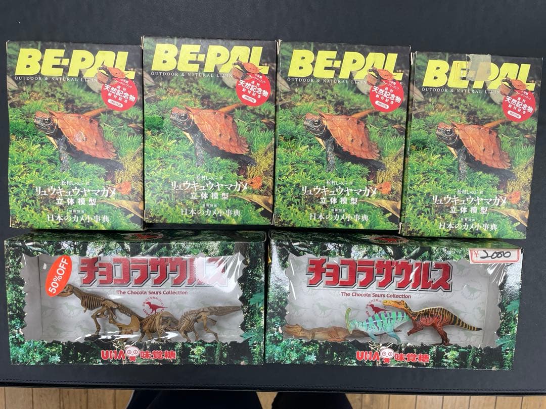 ビーパル　チョコエッグ　リュウキュウヤマガメ×4体　チョコラザウルス×２種