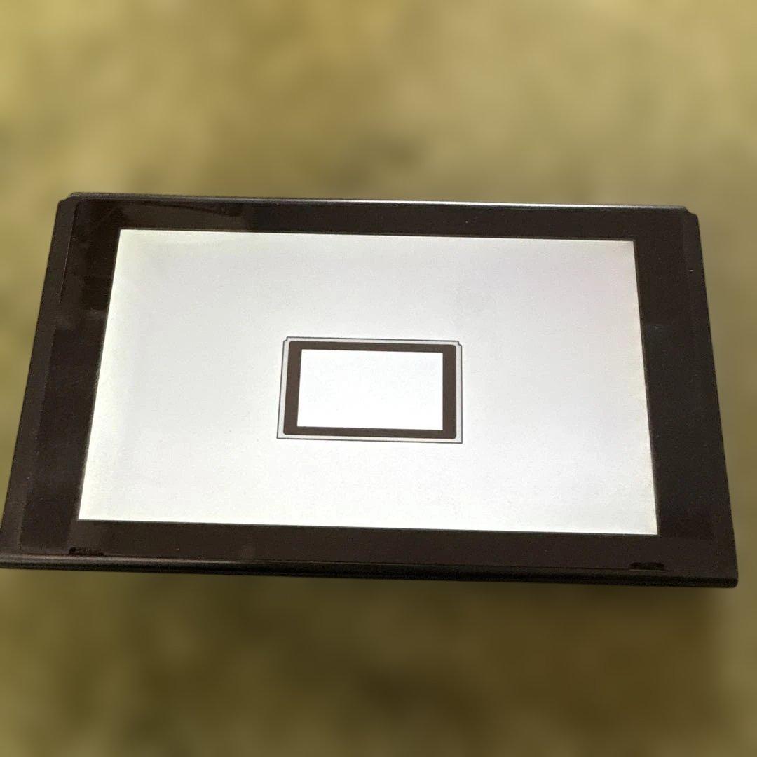 Switch 本体のみ HAC