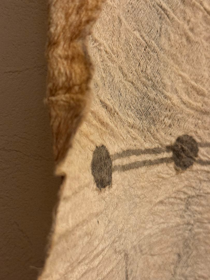 ピグミー族　タパ