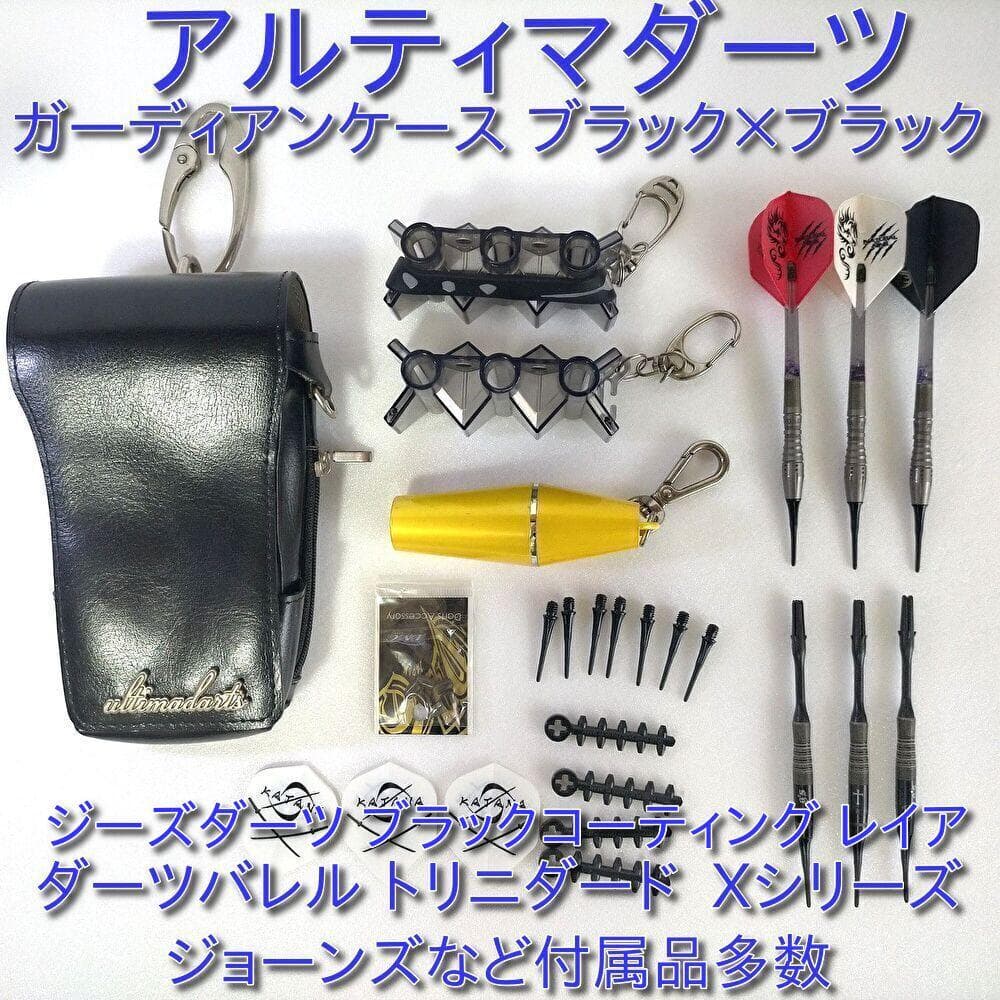 アルティマダーツ ガーディアンケースブラック バレル、チップケースなど付属品多数
