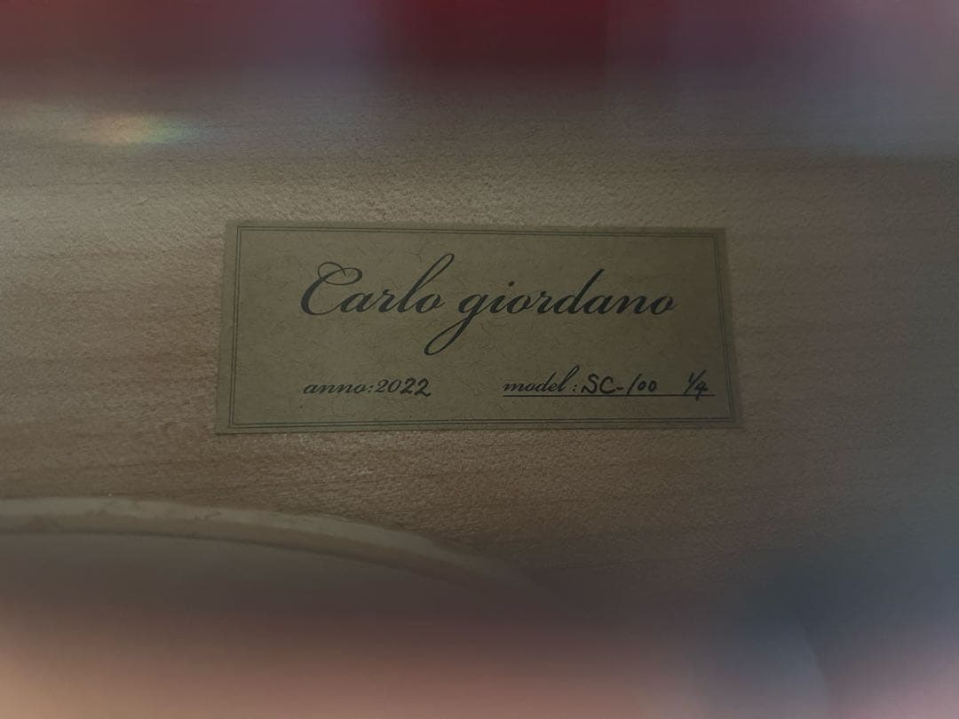 【美品】分数チェロ1/4 カルロジョルダーノ