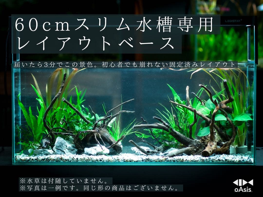 アクアリウム 流木 レイアウトセット 60cmスリム水槽　熱帯魚・水草水槽用